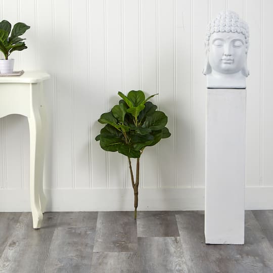 2.5ft. Fiddle Leaf Fig Tree